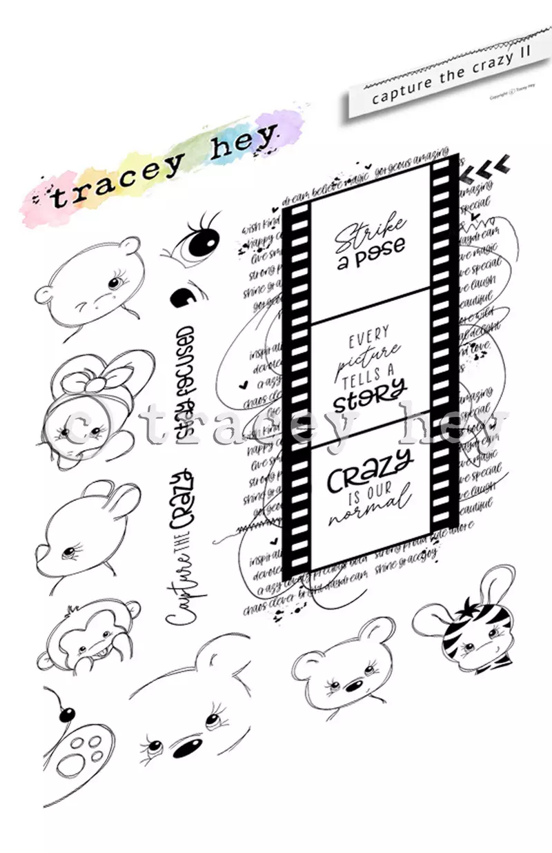 Set de sellos A5 Tracey hey - Capture the Crazy II A5