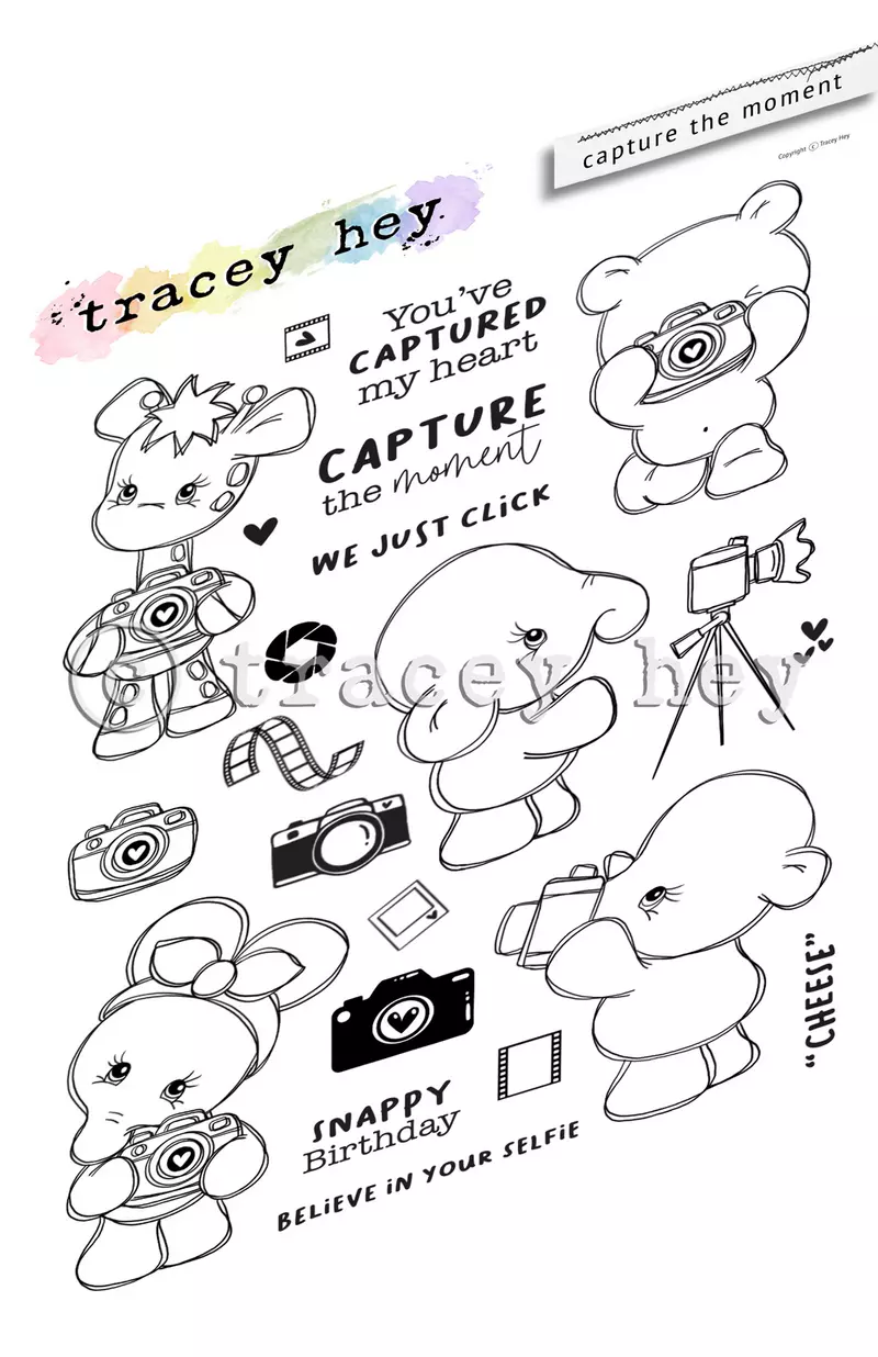 Set de sellos A5 Tracey hey - Capture the Moment