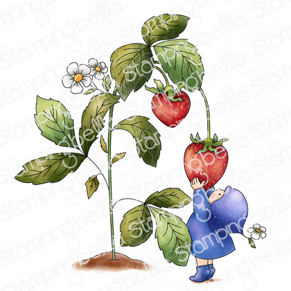 Sello de goma - bundle girl loves strawberries