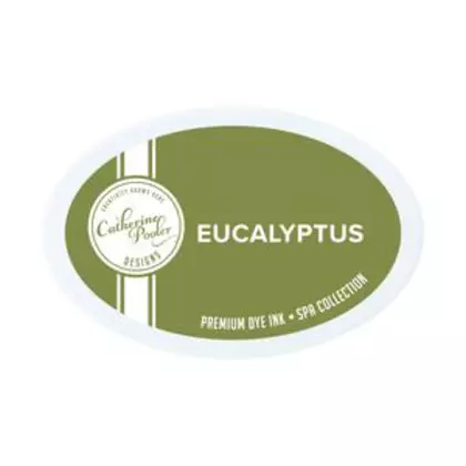 Catherine Pooler Designs - Eucalyptus Ink Pad 