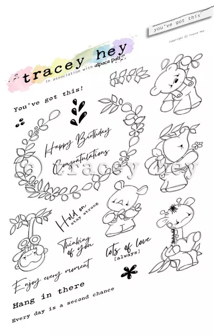 Set de sellos A5 Tracey hey you’ve got this