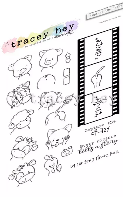 Set de sellos A5 Tracey hey Capture the Crazy