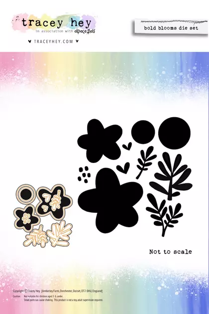 Set de troqueles Tracey Hey - Bold Blooms 